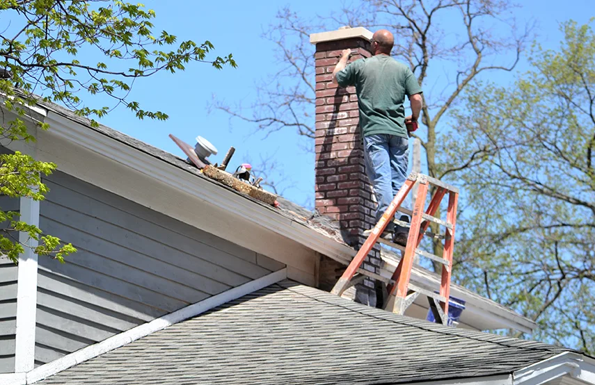 Chimney & Fireplace Inspections Services in Dothan, AL